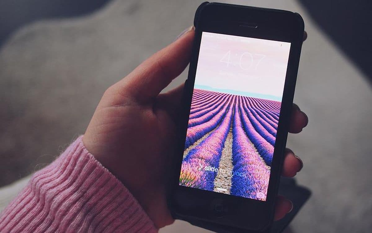 A hand in a pink sleeve holding an iPhone showing a lavender-field wallpaper.