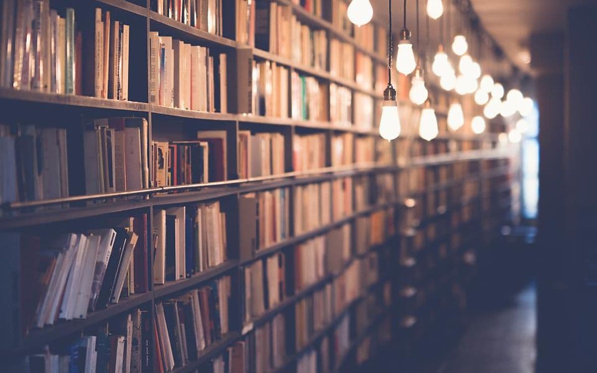 A long, dim library aisle lined with books under a row of hanging bulbs.